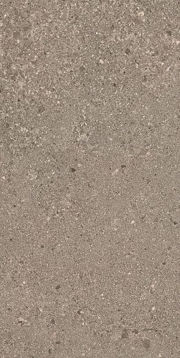 Grain Stone Rough Grain Taupe Nat.60x120 - фото 1