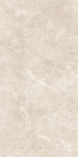 Shinestone White Pol 239.8x119.8 - фото 1