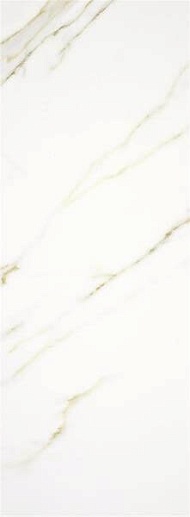 Aston Gold MT Rect. 33.3x90 - фото 1