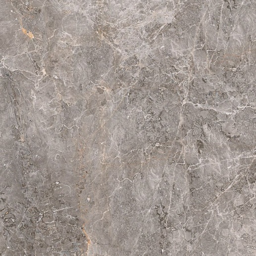 Elegant Grey Polished 59.6x59.6 - фото 1