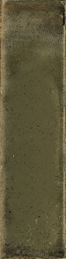 Jazba Olive Brillo 6x24.6 - фото 1