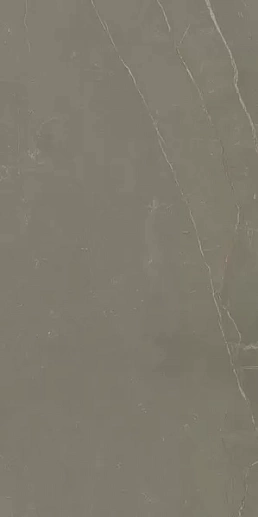 Linearstone Taupe 59.8x119.8 - фото 1