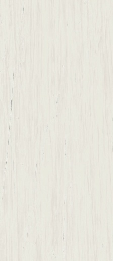 Marvel Stone Bianco Dolomite 120x278 Lappato - фото 1