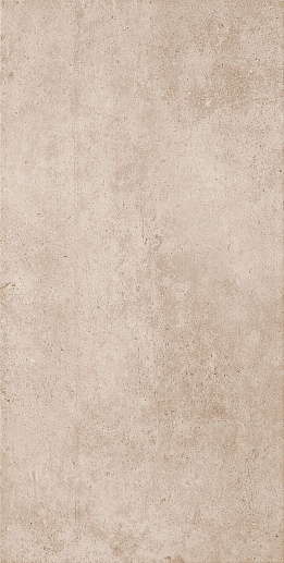 Tempre Brown 30.8x60.8 - фото 1