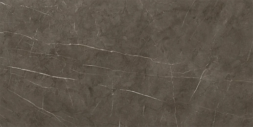 Tessino Bronze Pulido 60x120 - фото 1