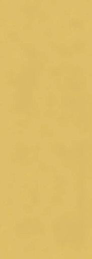 Cloud Gold 35x100 - фото 1