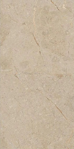 Una Pietra Nordix Camel Rustic Carving 60x120 - фото 1