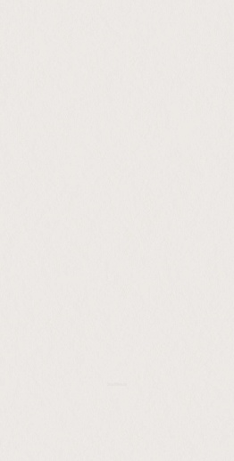 Superclassica SCW Flamed 60x120 - фото 1