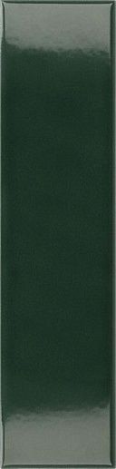 Costa Nova Laurel Green Glossy 5x20 - фото 1