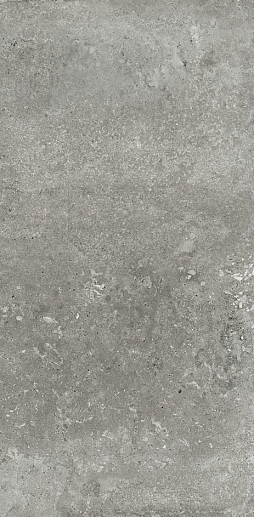Montpellier Ash 60x120 - фото 1