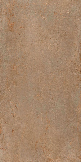 Rhodium Brass 60x120 - фото 1