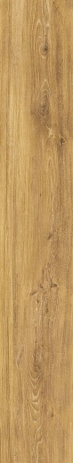 Verbier Honey 24x151 - фото 1