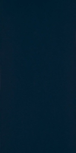 Porcelano Blue Sciana 30x60 - фото 1
