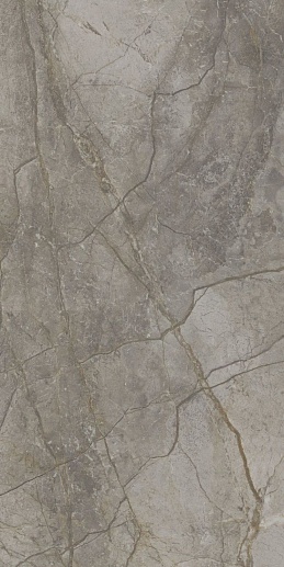 Silver River Dark Polished 60x120 - фото 1