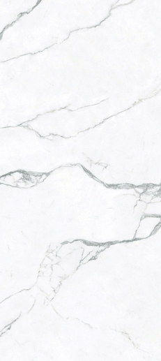 Statuario Oro 120x270 Matt - фото 1