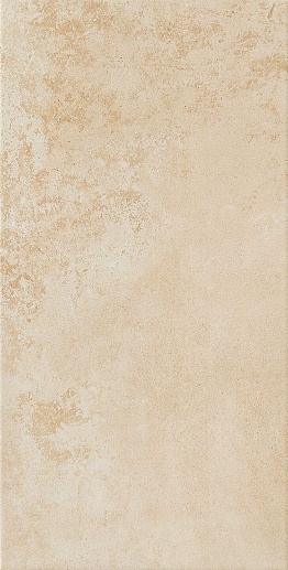 Neutral Brown 29.8x59.8 - фото 1