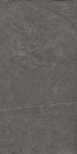 Stoncrete STCR 12DG RM 60x120 - фото 1