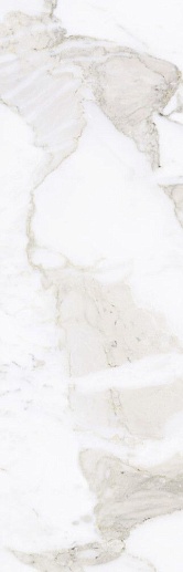 Calacatta Gold Matt R 31.5x100 - фото 1