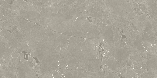 Neeko Taupe 60x120 - фото 1