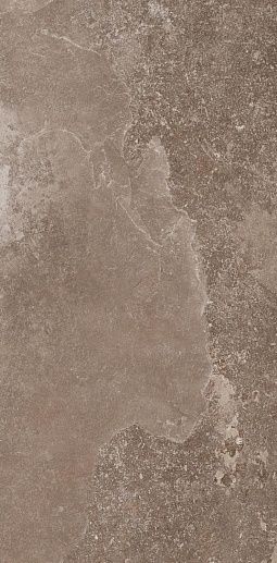 Des Alpes Naturale 47.8x97 Rett - фото 1