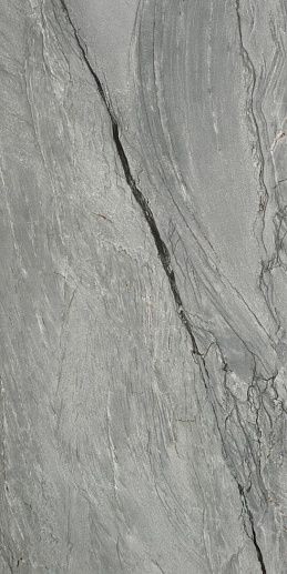 Marble Platinum Natural Gris (1.44) 60x120 - фото 1