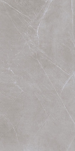 Atlas Grey 60x120 - фото 1
