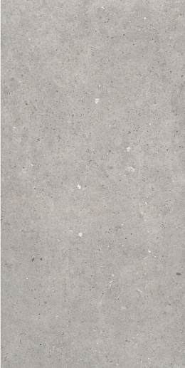 Cement Stone Grey MATE 60x120 - фото 1
