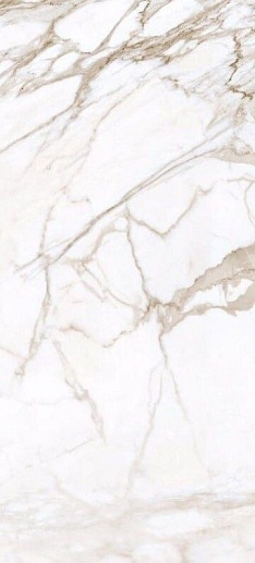 Marble Trend Calacatta Gold MR 30x60 - фото 1