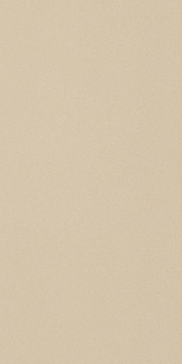 Icon Almond 12 60x120 - фото 1