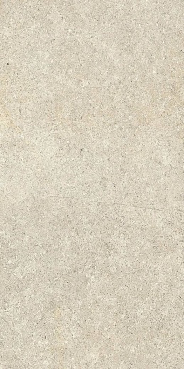 Background Snowy 60x120 - фото 1
