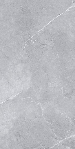 Amphora Light Grey 60x120 - фото 1