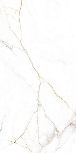 Austrain Natural Glossy 60x120 - фото 1