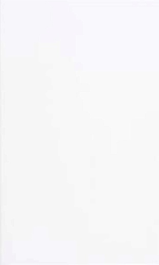 Blanco Brillo 33.3x55 - фото 1