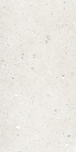 Ego Avorio Nat. Rett 60x30 - фото 1