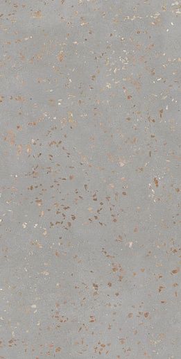 Ceppo Di Gre Silver 60x120 - фото 1