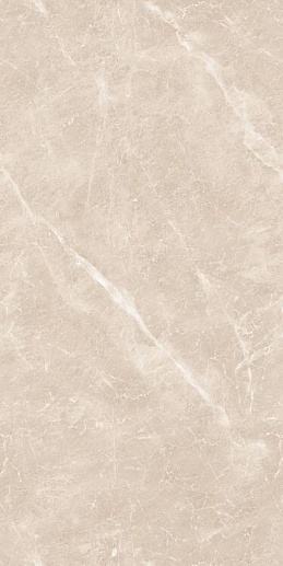 Marble Gem Grey 9 mm POLI 60x120 - фото 1