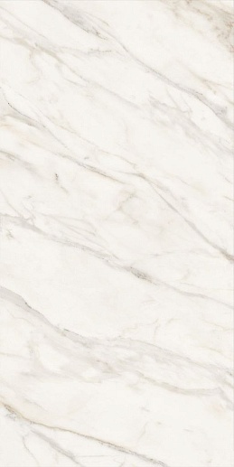 60x120 Marble Calacatta Gold - фото 1