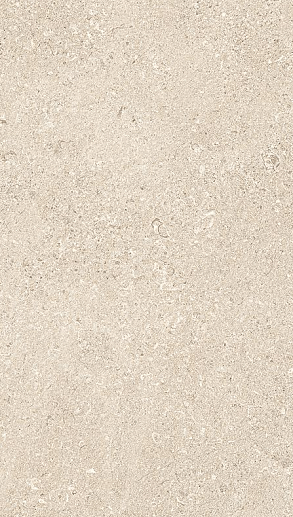 MaPierre Noble Beige Naturale Rett. 60x120 - фото 1