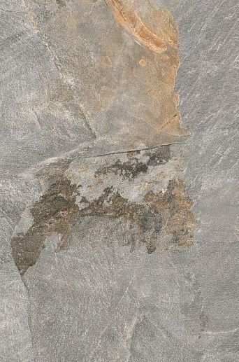 Ardesia Grey 2 см 60x90 - фото 1