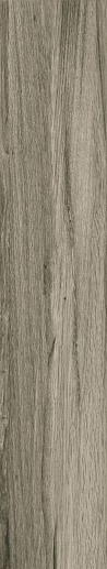 Ceylan Gris Nplus Rect 22x118 - фото 1