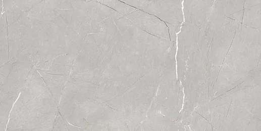Larice Grey 60x120 - фото 1