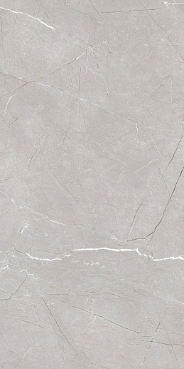 Larice Grey 60x120 - фото 1