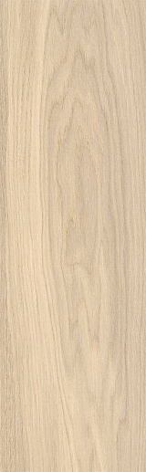 Chesterwood White 18.5x59.8 - фото 1