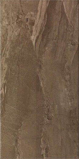 Ethereal Brown Parlak Glossy 30x60 - фото 1