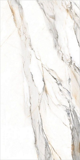 Statuario Elite Белый Граниль 60x120 - фото 1