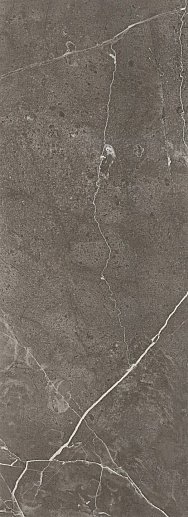 Chisa Graphite 32.8x89.8 - фото 1