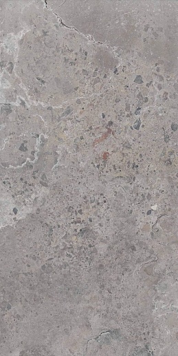 Pietra Viva Grey Nat Rett. 60x120 - фото 1