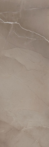 Passion R90 Taupe 30x90 - фото 1