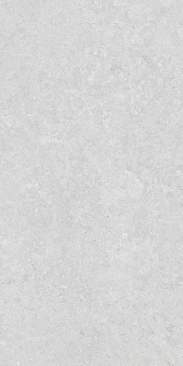 Ghent Silver AS/60x120/C/R - фото 1