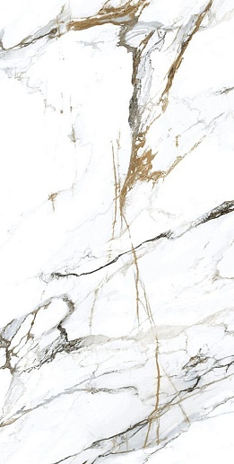 Oikos Gold 60x120 - фото 1